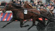 Le trotteur français Idao de Tillard remporte le 104e Prix d'Amérique