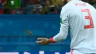 Gérard Piqué puis Isco ont déposé l'oiseau au bord du terrain.