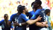 La joie des Bleus sur le deuxième but, signé Pogba.