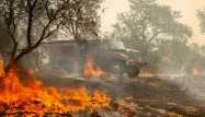 Les incendies ont déjà coûté la vie à 5 personnes.