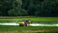 Vincent Guyot, agriculteur, défend l'utilisation du glyphosate qui permet, selon lui, d'utiliser moins d'engrais et d'avoir un meilleur bilan carbone.