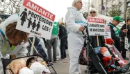 Les manifestants demandent "l'éradication pure et simple".