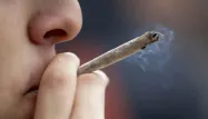 700.000 personnes fument quotidiennement du cannabis en France, selon les chiffres officiels.