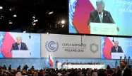 cop24