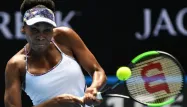 Venus Williams, Open d'australie crédit : GREG WOOD / AFP