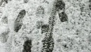 Neige traces de pas