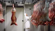 Les députés français ont adopté jeudi une proposition de loi qui prévoit l'installation à compter du 1er janvier 2018 de caméras dans les 263 abattoirs de France.