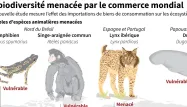 De nombreuses espèces sont menacées par le commerce mondial.