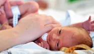 En deux ans, le nombre de nouveaux-nés est passé de 781.000 en 2014 à 747.000 en 2016.