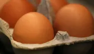 Oeufs