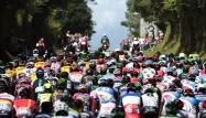 Tour de France, 1280x640