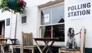 Des milliers de Britanniques ont photographié leurs chiens devant les bureaux de vote.