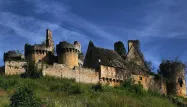 Le château Le Paluel, en Dordogne