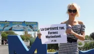 Pamela Anderson, Marineland crédit : VALERY HACHE / AFP - 1280