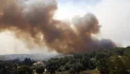 Deux incendies s'étaient déclarés en Corse (image d'illustration).