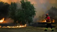 Portugal, incendies, Abrantes crédit : PATRICIA DE MELO MOREIRA / AFP - 1280