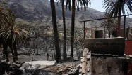 incendie canaries 1280