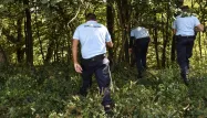 Six patrouilles en voiture, dix gendarmes sur le terrain et douze membres de la cellule d'enquête restent mobilisés pour retrouver Maëlys.