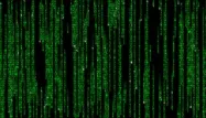"Matrix" : l'origine du "code vert" révélée
