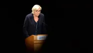 En difficulté financière, Marine Le Pen lance "un emprunt patriotique"