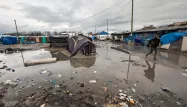 jungle calais 1280