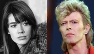 hardy bowie
