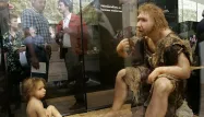 Neandertal 1280