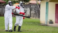 Le virus Zika présent en Amérique du Sud depuis 2013