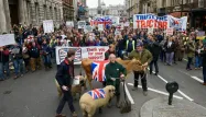 Un millier d'agriculteurs manifestent à Londres pour appeler le gouvernement à l'aide