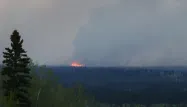 Le feu de Fort McMurray a ravagé plus de 5.230 km2 de forêt.