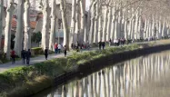 toulouse canal du midi 1280