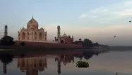 Des insectes pullulent dans la rivière voisine du Taj Mahal, la Yamuna River.