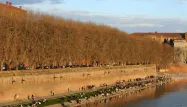 toulouse garonne 1280