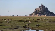 Le mont Saint-Michel.