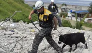 Un secouriste à l'oeuvre après le séisme qui a frappé l'Equateur en avril dernier.
