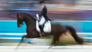 equitation dressage 1280