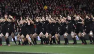 Les All Blacks affronteront le XV australien, samedi, lors de la 21e édition du Rugby Championship, le championnat des nations de l'hémisphère sud.