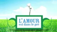 Audiences TV : M6 leader avec "L'amour est dans le pré"
