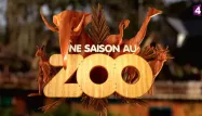 "Une saison au zoo" est un programme à la croisée des genres télévisés.