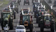 Tracteurs sur la route, 1280x640