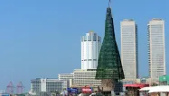 arbre de Noël, 2016 Sri Lanka crédit : LAKRUWAN WANNIARACHCHI / AFP - 1280