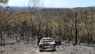 Le sud de l'Australie ravagé par de violents feux de forêt