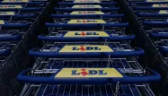 L'enseigne de grande distribution discount, low cost, Lidl