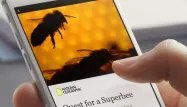 facebook instant articles 1280