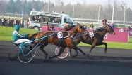 Le trotteur suédois Maharajah remporte le Grand Prix d'Amérique