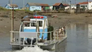 Charente-Maritime : un ostréiculteur disparaît en mer