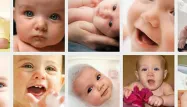 Les photos de bébés recueillent davantage de "likes".