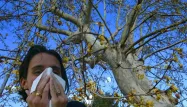 Allergies : comment affronter le printemps précoce