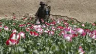 Afghanistan : diplomatie, opium et talibans