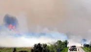Un incendie ravage la garrigue près de Narbonne (illustration)